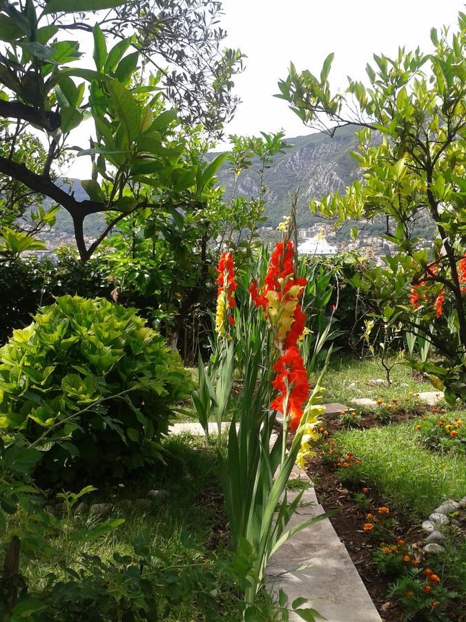 Kotor Kelly Apartments Екстер'єр фото
